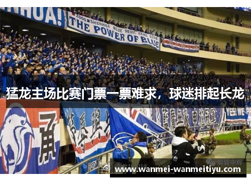 猛龙主场比赛门票一票难求，球迷排起长龙