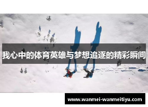 我心中的体育英雄与梦想追逐的精彩瞬间